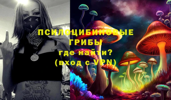 круглые Аркадак