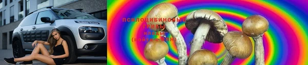круглые Аркадак