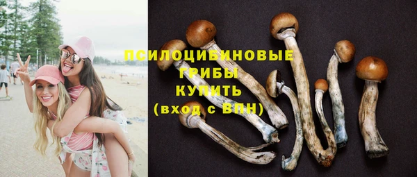 круглые Аркадак